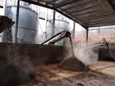 選購粉劑有機肥生產線，如何匹配產能與市場規劃？答案在這！